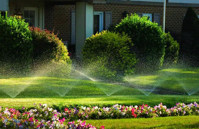 Charlotte Lighting & Hardscapes | Home Page