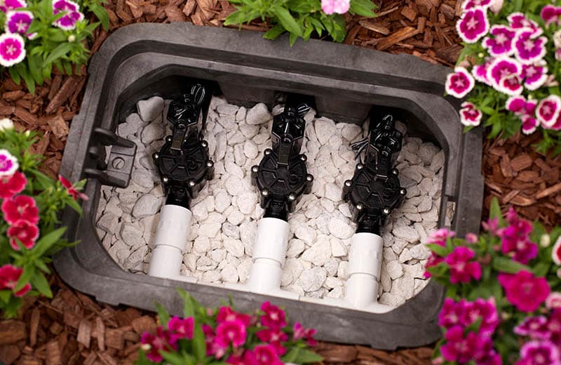 Rain Bird Irrigation Systems in Charlotte, NC Efficient Watering