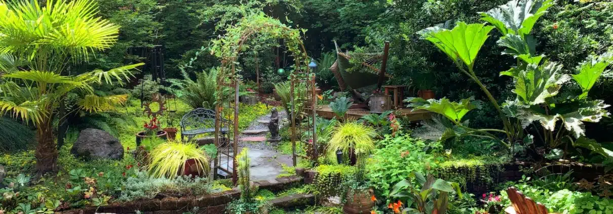 Landscape Design charlotte hardscaping
