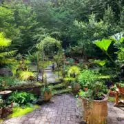 Landscape Design charlotte hardscaping